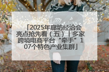 2025年廊坊经洽会亮点抢先看（五）丨多家跨境电商平台“牵手”107个特色产业集群